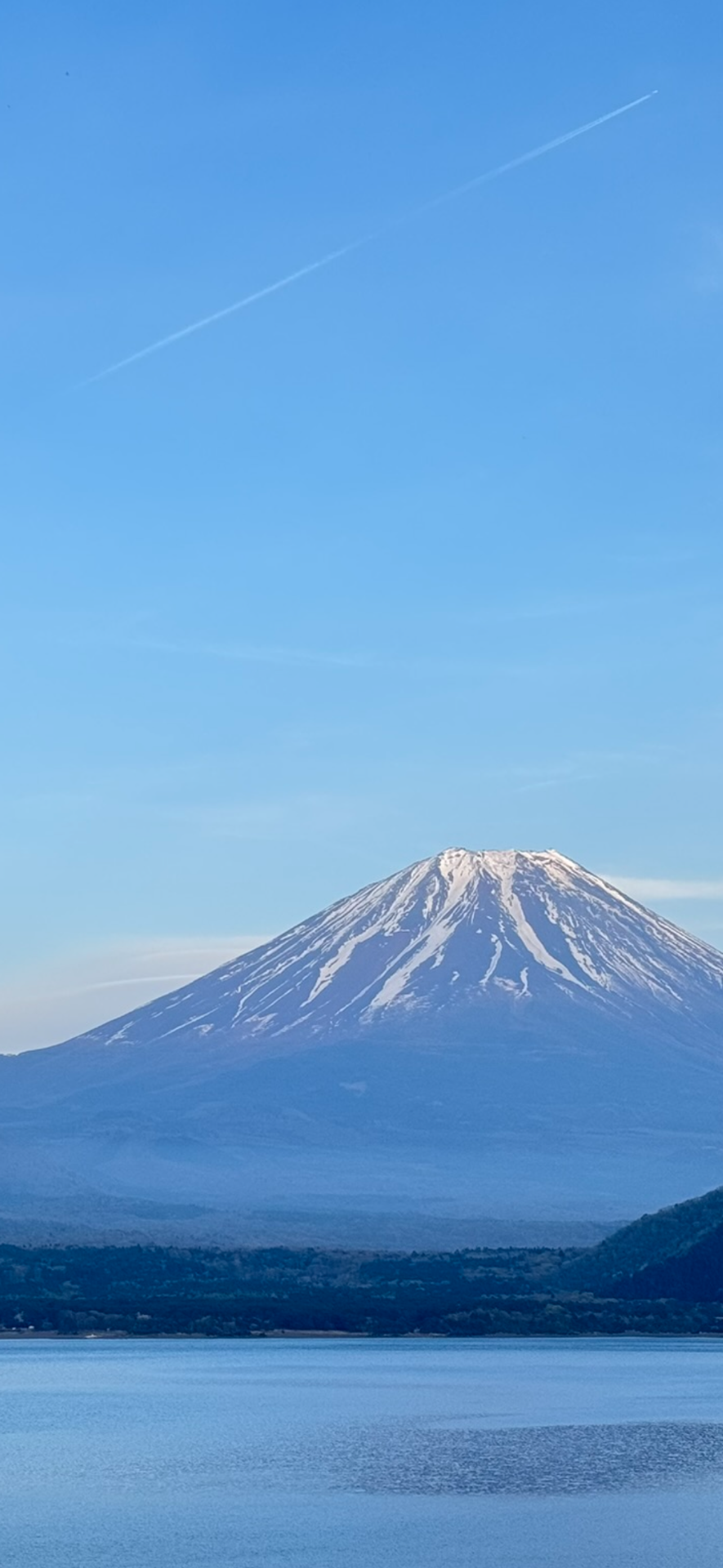 新年のご挨拶｜本日より通常業務を開始いたしました!!