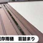 【八王子市】雨樋から水漏れ…原因は苔詰まりと割れ｜一部雨樋交換工事事例